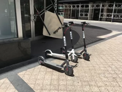 Bird Scooter