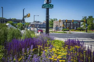 Purple and yellow flowers in foreground of street scene in Philadelphia, Pennsylvania, on a sunny day.