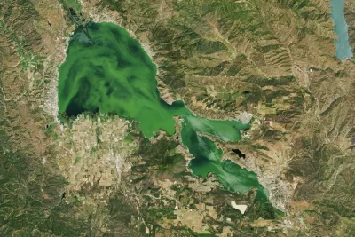 Satalite image of a bright green lake surrounded by brownish-green land