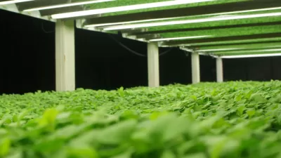 Farmed Here Aquaponics