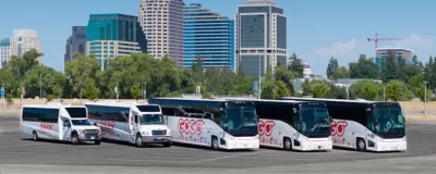 Row of white charter buses with red Gogo Charters logo.
