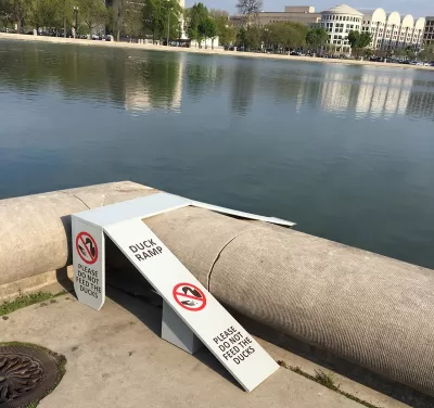 Capitol Reflecting Pool
