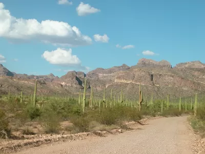 Organ Pipe Cactus National Monument