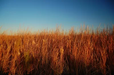 Salton Sea Refuge