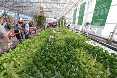 Big Tex Urban Farms Hydroponic Tank