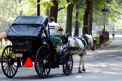 Horse Carraige