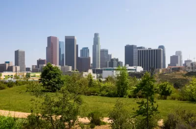 View of downtown Los Angeles from a green park