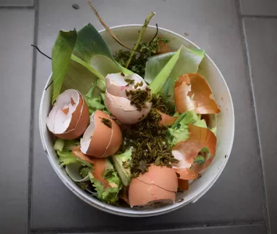 Compost Pile