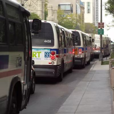 CTA Buses