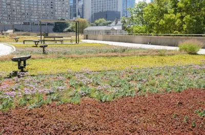 Green Roof