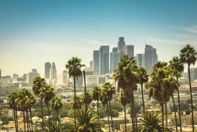 View of Los Angeles skyline on sunny day with palm trees in foreground