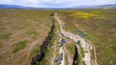 Crack in earth near San Andreas fault in Carrizo Plain, California. during a superbloom with yellow flowers visible.