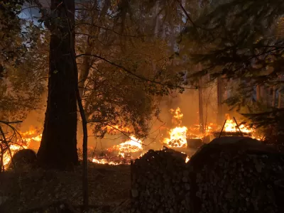 Fire burns in a forest during Camp Fire in Paradise, California