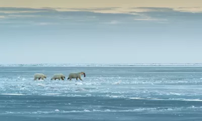 Arctic National Wildlife Refuge