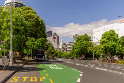 New Zealand Bus Transit