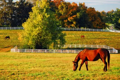 Horse Farm