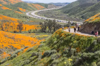 California Spring