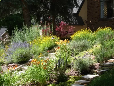 Front yard landscaped with native plants and flowers