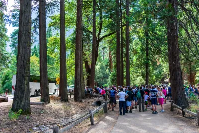 Crowd of people standing on paved path under large trees waits for shuttle buses in Yosemite National Park.