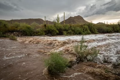 Flask Flood