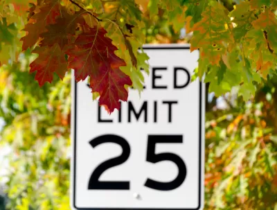 25 mph speed limit sign partially obscured by red and orange fall leaves