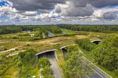 Grassy wildlife crossing overpass over a multilane road in The Netherlands