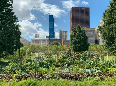 Community garden in Chicago, Illinois with view of city skyline