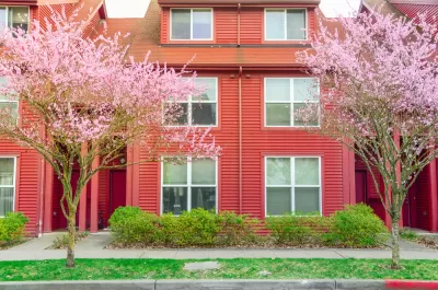 Facade entrance of typical townhouse with cherry blossom in Seattle, Washington, America. Colorful red siding of two story attached townhouse duplex with blooming pink flower near windows with blinds