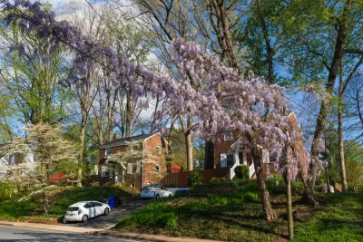 Red brick homes with blooming wisteria in foreground in Arlington, Virginia