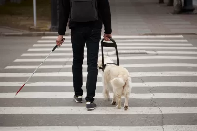 Man crossing crosswalk with seeing eye dog and cane
