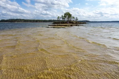 View of reservoir with small island with trees in Texas