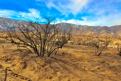 Burned plants near Devil's Punchbowl after 020 fires