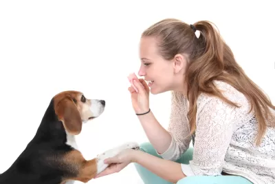 Pet Dog