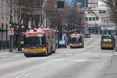 Buses in downtown Seattle on the dedicated 3rd Avenue bus lanes