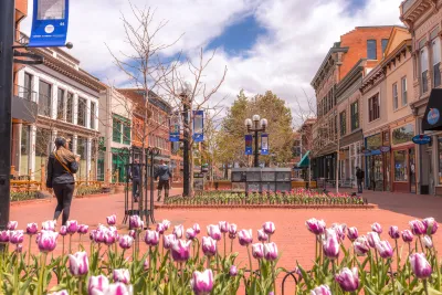 The Pearl street mall, with tulip blooming on a sunny spring day.