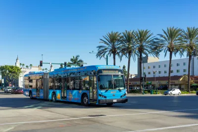 Blue Anaheim city bus driving down street with row of palm trees.