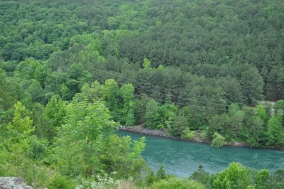 The Arkansas River surrounded by cedar trees.