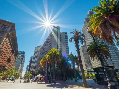 Office buildings and tall palm trees on a bright sunny day in San Francisco, California.