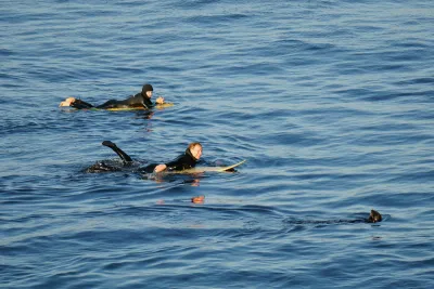 Two surfers laying on their boards in calm water in Santa Cruz, California.