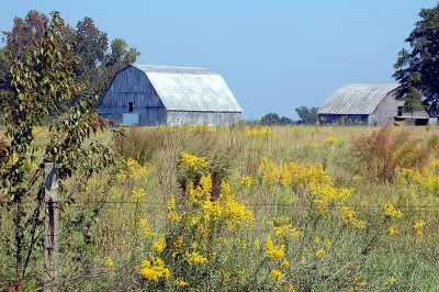 Blue barn in green grassy field in rural Georgia.