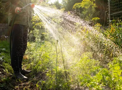 Person in galoshes spraying a garden with a water hose.