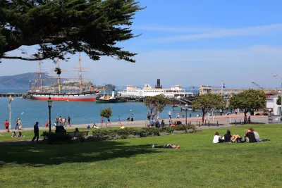 People in SF relax under the shade of a tree
