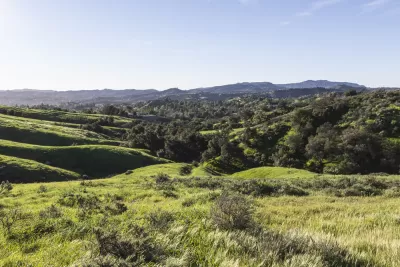 Rolling green hills in San Fernando Valley, Los Angeles