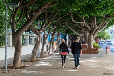 Two people walking on wide sidewalk shaded by mature trees in Malaga, Spain.