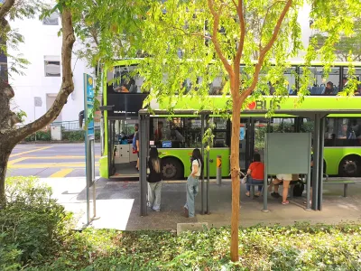 A bus in Singapore at a stop behind a tree, waiting for passengers to get on.