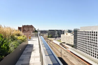 Roof on residential building in Washington DC with green grasses growing in middle planter.