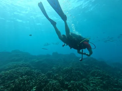 A person scuba diving in a coral reef off Guam. 