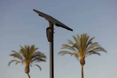 A black Flock camera on a thin pole with blurred palm trees in background.