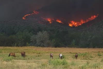 Wildfire