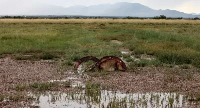 Rainy Wetlands